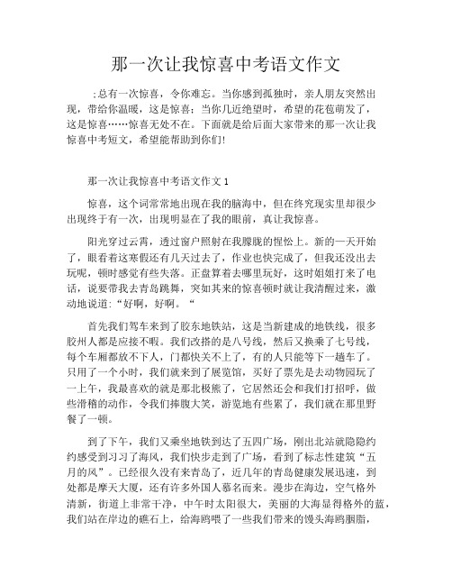 那一次让我惊喜中考语文作文