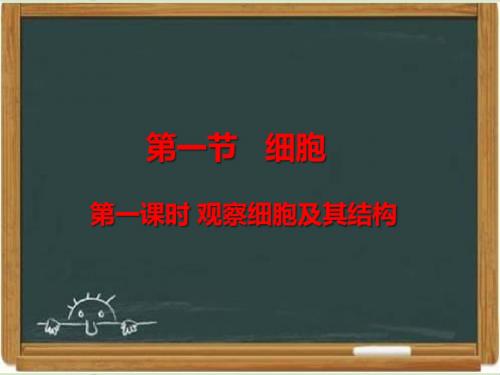 冀少版七年级生物上册《细胞》第一课时课件