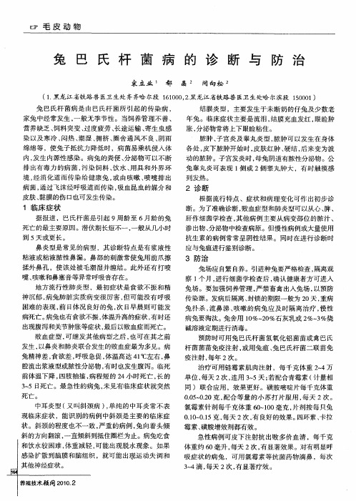 兔巴氏杆菌病的诊断与防治