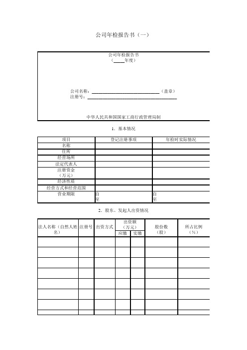 公司年检报告书(一)