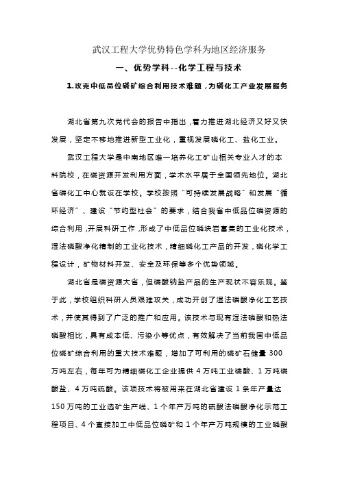 武汉工程大学优势特色学科