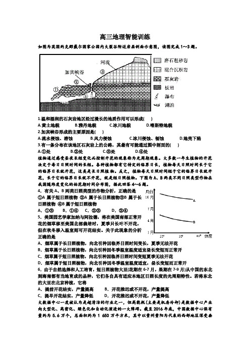 高三地理智能训练