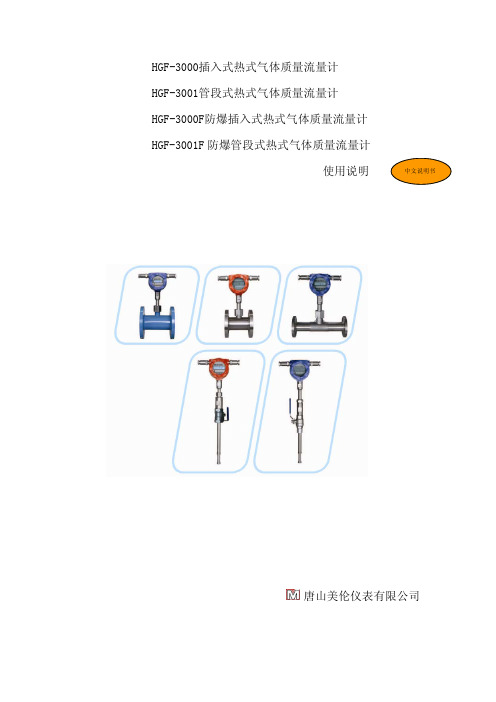 热式气体质量流量计使用说明书