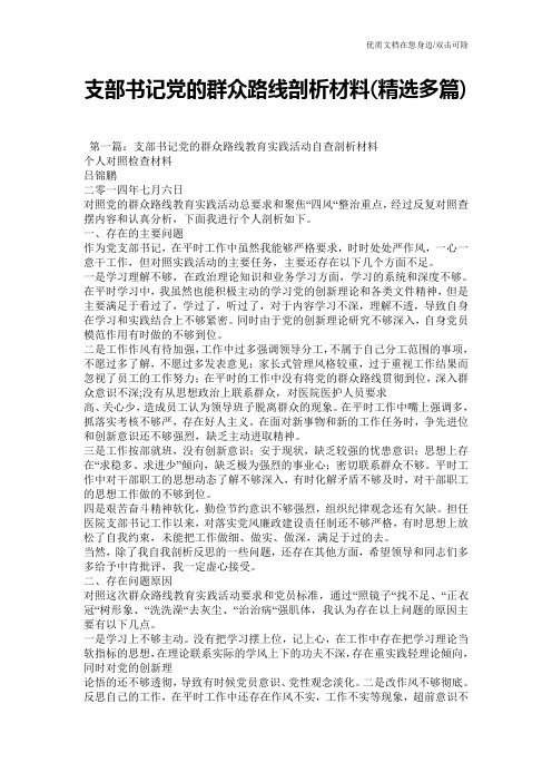 支部书记党的群众路线剖析材料(精选多篇)