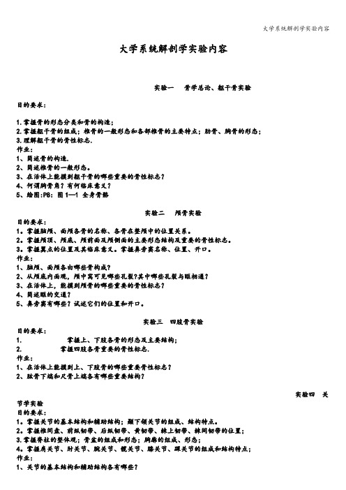 大学系统解剖学实验内容