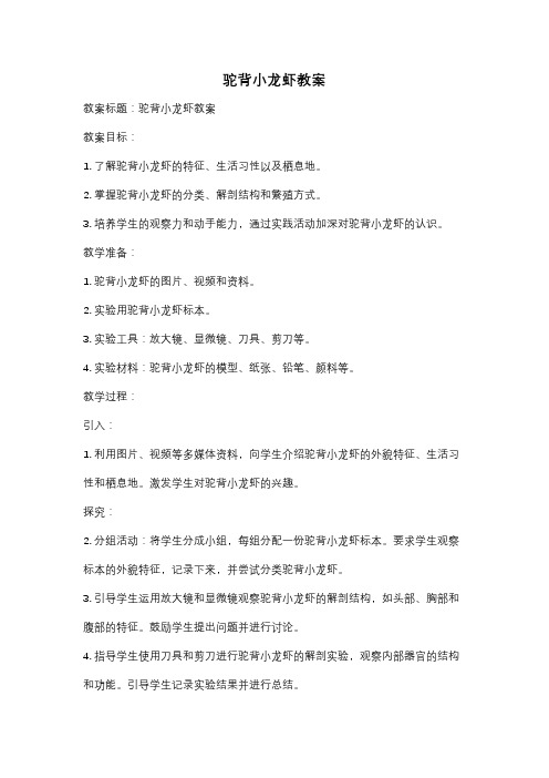 驼背小龙虾教案