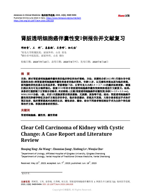 肾脏透明细胞癌伴囊性变1_例报告并文献复习