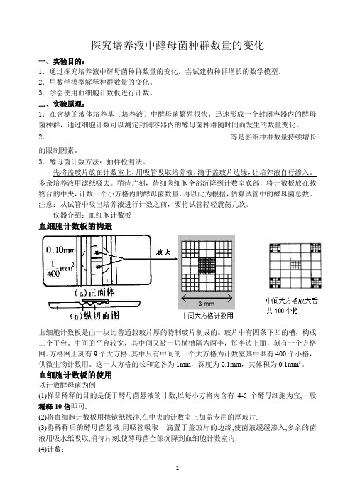 探究酵母菌种群数量变化实验