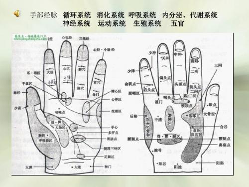 健康拍手操(匡峰)中华讲师网