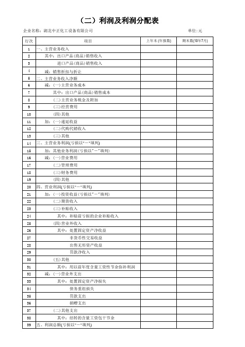 财务报表电子模版 年报 