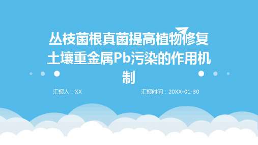 丛枝菌根真菌提高植物修复土壤重金属Pb污染的作用机制