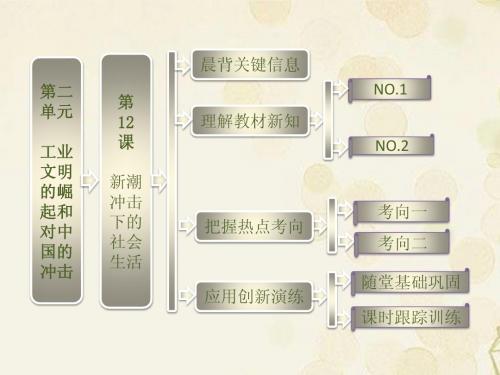 2013高中历史 第二单元 第12课 新潮冲击下的社会生活课件 岳麓版必修2