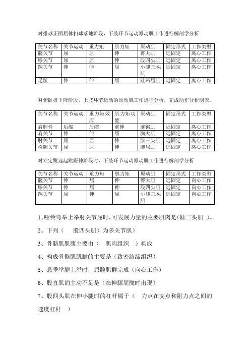 运动解剖学考试资料