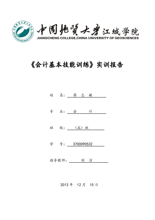 会计基本技能训练上机实训报告