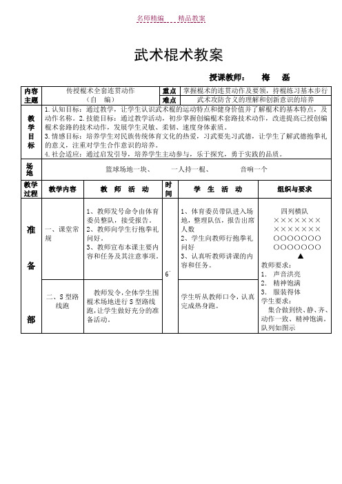 武术棍教案(新)