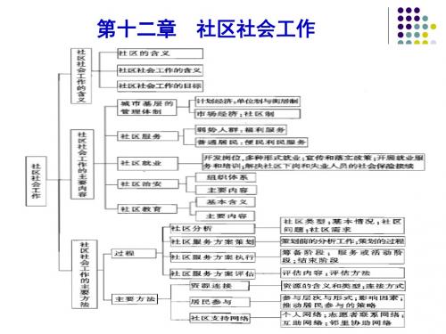 12 社区社会工作