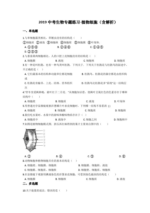 2019中考生物专题练习-植物细胞(含解析)