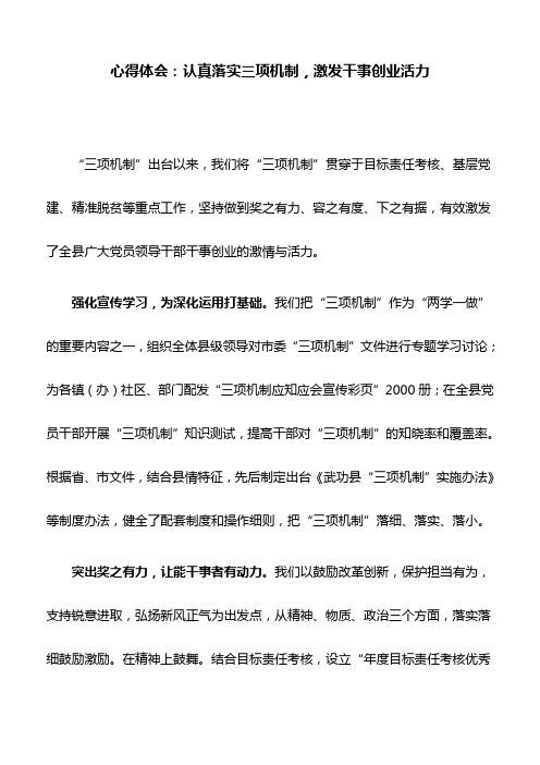 心得体会：认真落实三项机制,激发干事创业活力