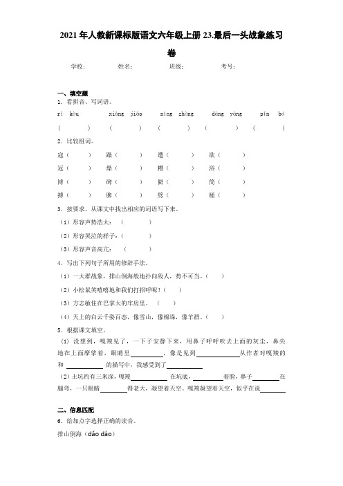 2021年人教新课标版语文六年级上册23.最后一头战象练习卷