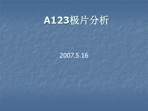 锂电池A123正极片分析资料