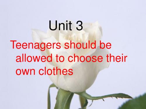 九年级下册英语课件 《Unit_7_Teenagers_should_be_allowed_to_choose_their_own_clothes.》全单元课件