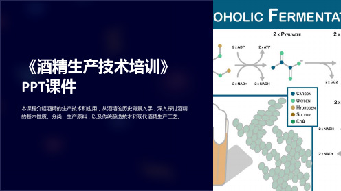 《酒精生产技术培训》课件