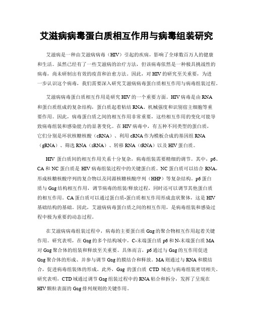 艾滋病病毒蛋白质相互作用与病毒组装研究