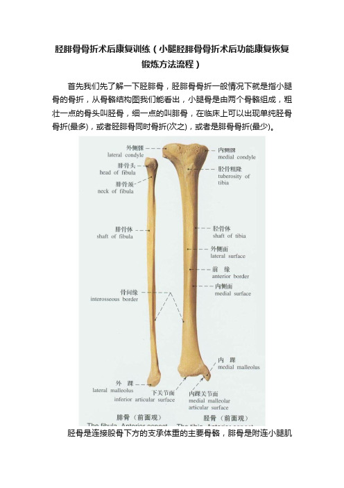 胫腓骨骨折术后康复训练（小腿胫腓骨骨折术后功能康复恢复锻炼方法流程）