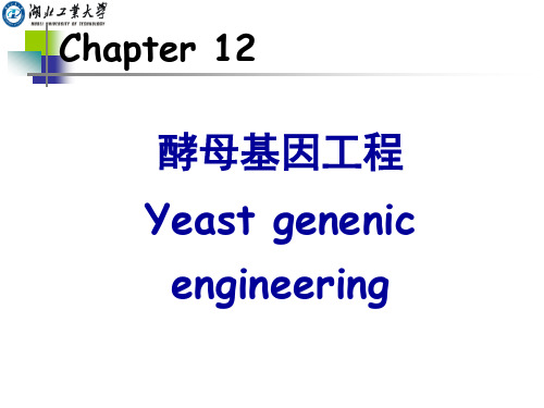 CHAPTER12酵母基因工程