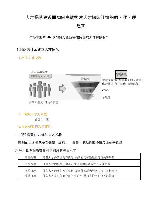 人才梯队建设-如何高效构建人才梯队让组织的“腰”硬起来