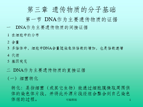 遗传物质的分子基础(5)