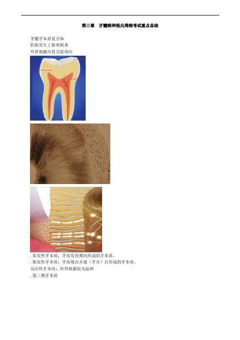 第三章 牙髓病和根尖周病考试重点总结 (2)