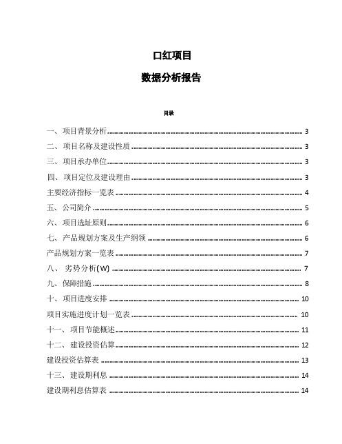 口红项目数据分析报告