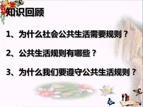 【初中政治】认识法律规则ppt优秀课件