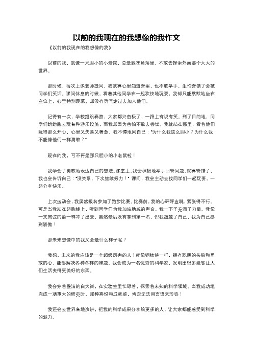 以前的我现在的我想像的我作文