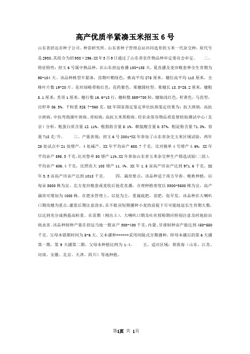 高产优质半紧凑玉米招玉6号