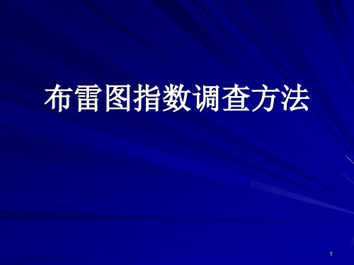 布雷图指数调查方法ppt课件