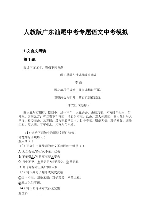 人教版广东汕尾中考专题语文中考模拟试卷及解析