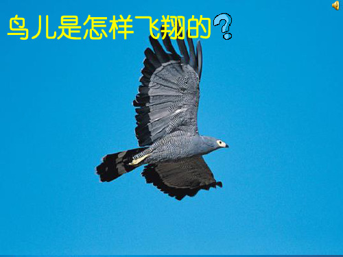 新教科版物理八下 10.1在流体中运动(共33张PPT)