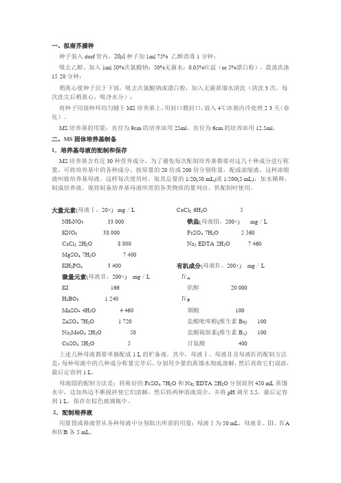 MS培养基配置与拟南芥的种植