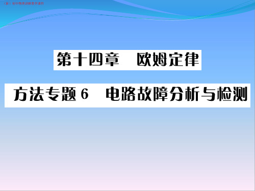 (新)初中物理《电路故障判断》讲解教学课件