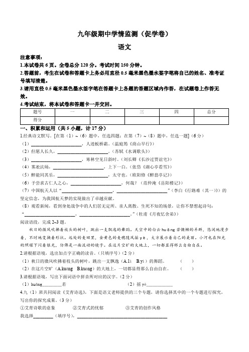 陕西省西安市蓝田县2023-2024学年九年级上学期期中语文试题(含答案)