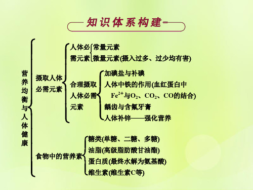 高中化学专题2营养均衡与人体健康专题总结课件苏教版选修1.ppt