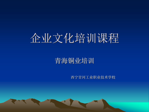 某公司企业文化培训课件(PPT54页)