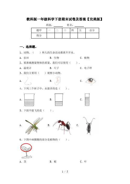 教科版一年级科学下册期末试卷及答案【完美版】