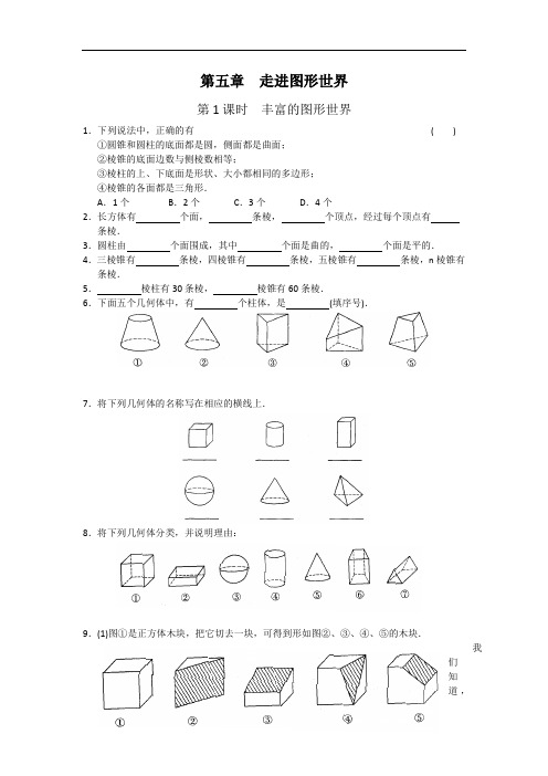 第五章  走进图形世界 课时练习 含答案 全面