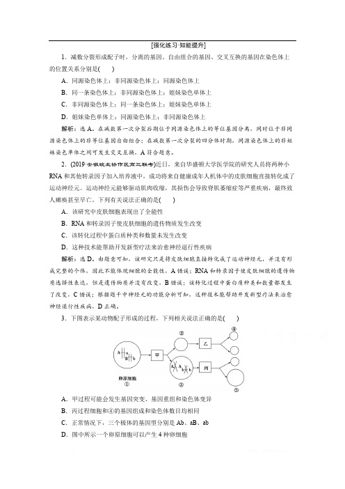 2020新课标高考生物二轮强化练习：专题三 细胞的生命历程 