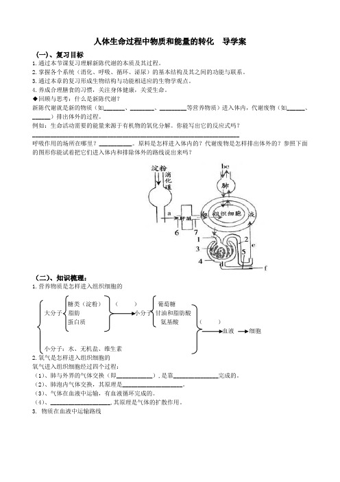 导学案：人体生命过程中物质和能量的转化