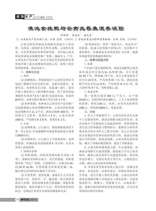 滇池金线鲃与云南光唇鱼混养试验