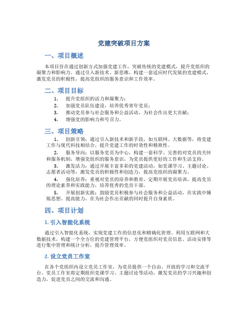 党建突破项目方案